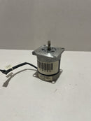 Shinano Kenshi Stepper Motor STH-55D405
