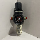 PNEUMATIC FILTER, MODELO: B07-202-A1KA