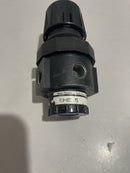 PNEUMATIC FILTER, MODELO: R10-02C-M3