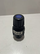 PNEUMATIC FILTER, MODELO: R10-02C-M3