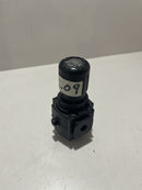 PNEUMATIC FILTER, MODELO: R73-2AK-RMG
