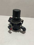 PNEUMATIC FILTER, MODELO: R08-200-RNMA